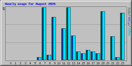 Hourly usage for August 2026